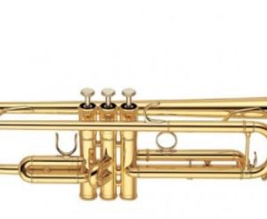 Trompeta Fontai Ft 6418L