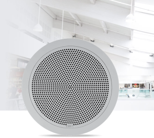 Parlante de cielo RCF PL50