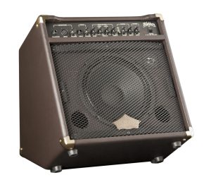 Amplificador de guitarra acústica Washburn WA30