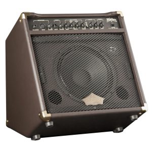 Amplificador de guitarra acústica Washburn WA30