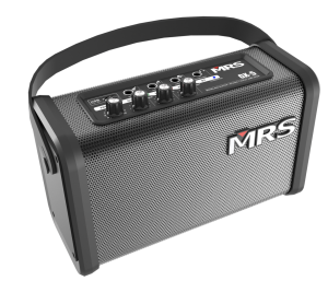 Amplificador MRS GX-5